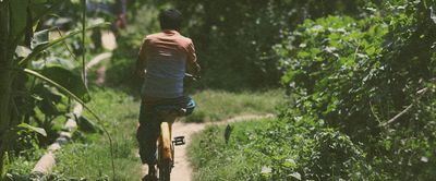 Navigating through crises in a disabling world - Header Image