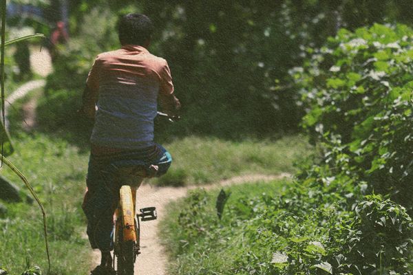 Navigating through crises in a disabling world - Header Image