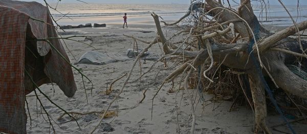 Leaving no one behind: Disability-inclusive disaster risk management - Header Image