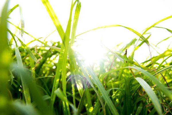 Lessons from COVID-19 on World Earth Day - Header Image
