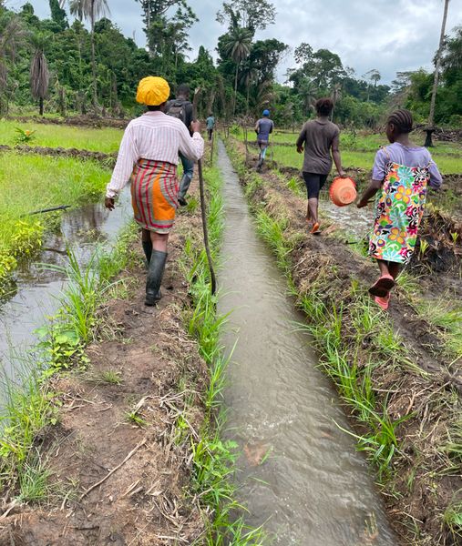 Farmers walking in the field, holding water bowls and sticks.
