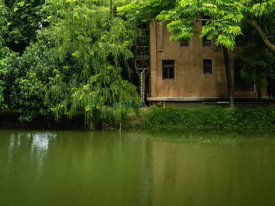 A house that can grow, float, and stays cool all year - Header Image
