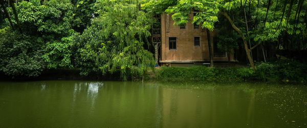 A house that can grow, float, and stays cool all year - Header Image