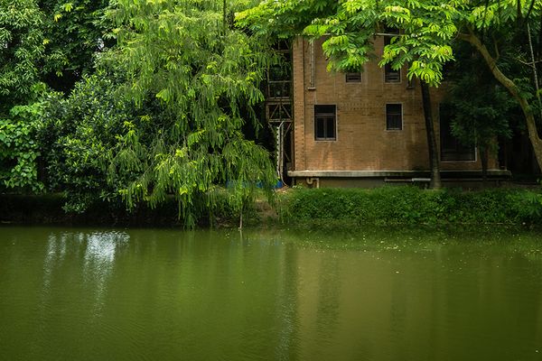 A house that can grow, float, and stays cool all year - Header Image