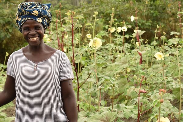 How COVID-19 is affecting people around the world – Our rapid assessment - Header Image