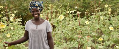 How COVID-19 is affecting people around the world – Our rapid assessment - Header Image