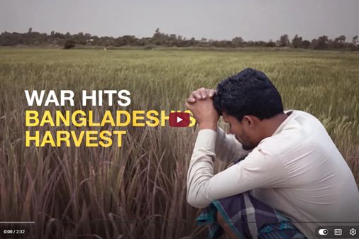 Photo of a farmer sitting in a field in Bangladesh