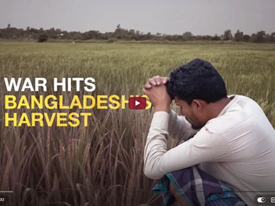 Photo of a farmer sitting in a field in Bangladesh