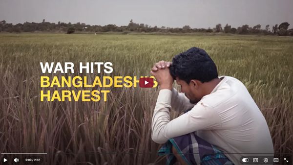 Photo of a farmer sitting in a field in Bangladesh