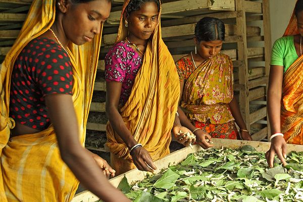 অর্থনৈতিক নির্যাতন প্রতিনিয়ত নারীকে পিছিয়ে দেয় - Header Image