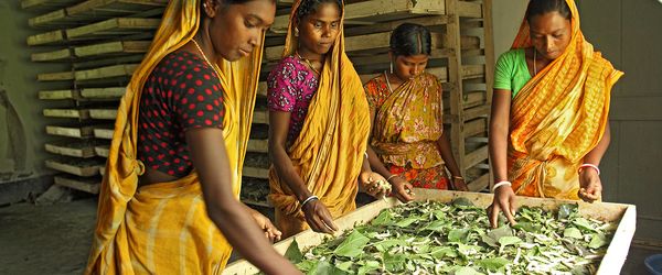 অর্থনৈতিক নির্যাতন প্রতিনিয়ত নারীকে পিছিয়ে দেয় - Header Image