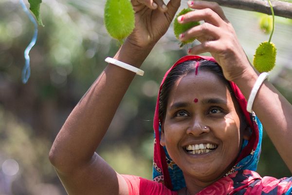 Food for thought: Ways to end world hunger - Header Image