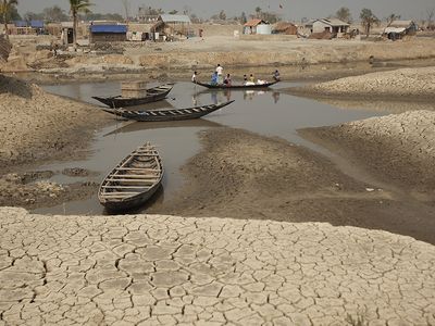 Life in a heatwave: What it’s like, and what we need to do - Header Image