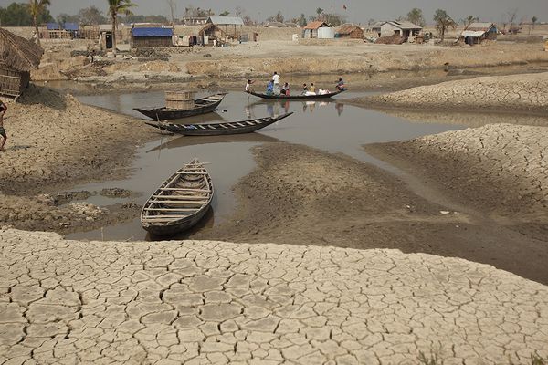 Life in a heatwave: What it’s like, and what we need to do - Header Image