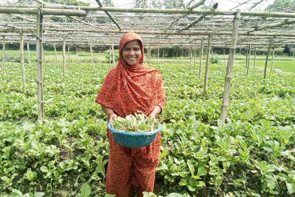 Extraordinary Woman: Meet Rozina - Header Image