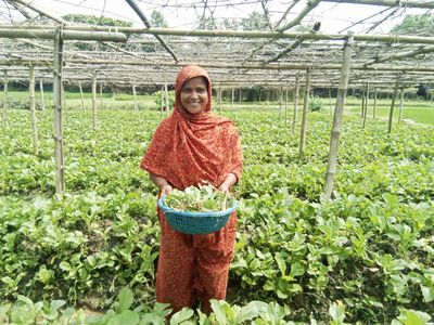 Extraordinary Woman: Meet Rozina - Header Image