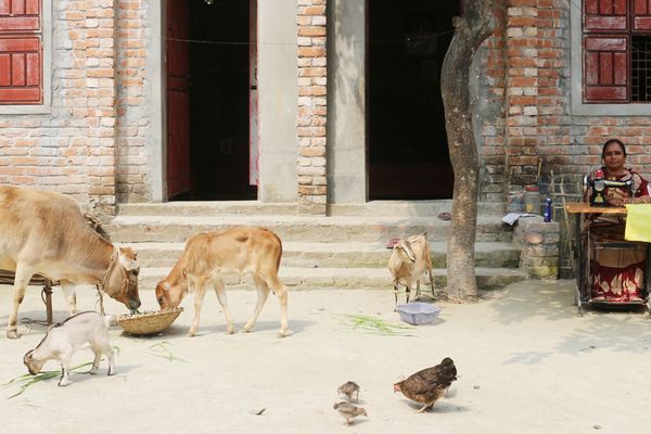 অতিদারিদ্র্যের বৃত্ত ভেঙ্গে নেতৃত্বে নারী - Header Image
