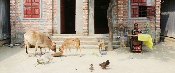 অতিদারিদ্র্যের বৃত্ত ভেঙ্গে নেতৃত্বে নারী - Header Image