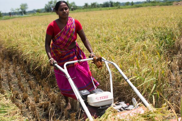 সকলের হোক আন্তর্জাতিক নারী দিবস - Header Image