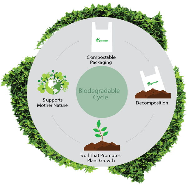 The Lifecycle of Biodegradable Packaging