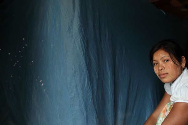 Liberating Bangladesh from malaria: How far have we come in the last 50 years? - Header Image