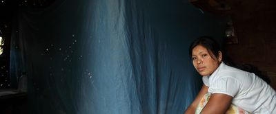 Liberating Bangladesh from malaria: How far have we come in the last 50 years? - Header Image