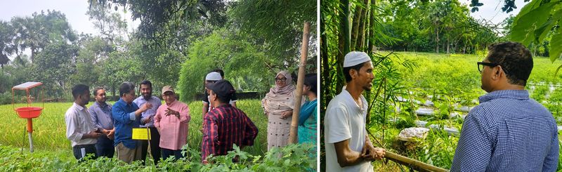 ব্র্যাকের ঊর্ধ্বতন কর্মকর্তাবৃন্দ একাধিকবার পরিদর্শন করেছেন ইমদাদ ভাইয়ের ফসলের জমি