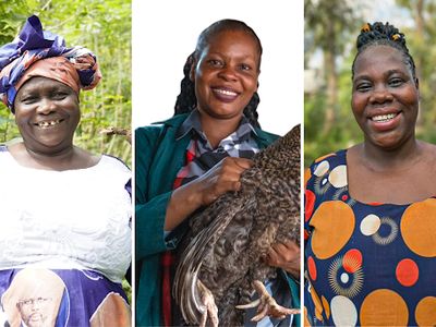 mf child page image 1