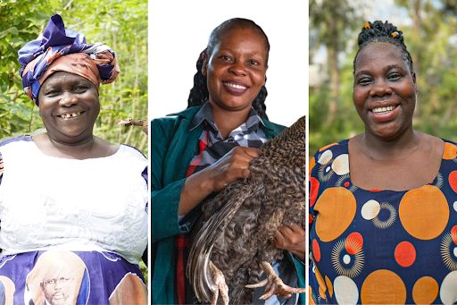 mf child page image 1