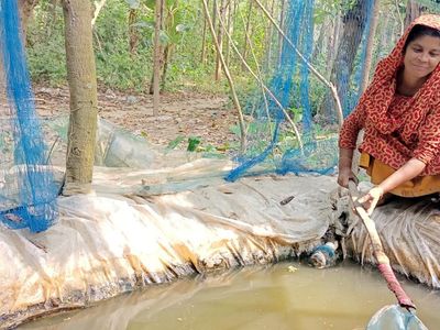 মিনি পুকুর : পুষ্টি ও আয়ের এক নতুন সম্ভাবনা - Header Image