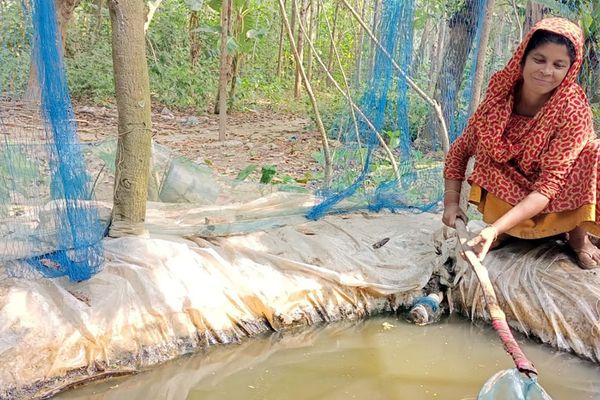 মিনি পুকুর : পুষ্টি ও আয়ের এক নতুন সম্ভাবনা - Header Image