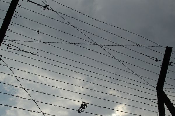 মুক্তির টানেঅভিশাপ বরণ - Header Image