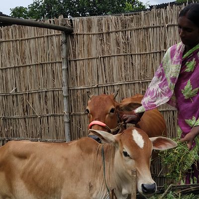 Development that works for indigenous people in Bangladesh - Header Image