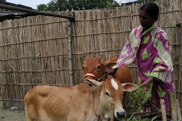 Development that works for indigenous people in Bangladesh - Header Image