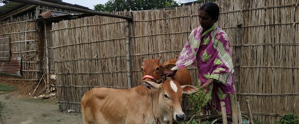 Development that works for indigenous people in Bangladesh - Header Image