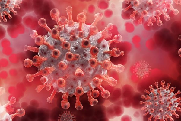 যুদ্ধে জয়ী হলাম - Header Image