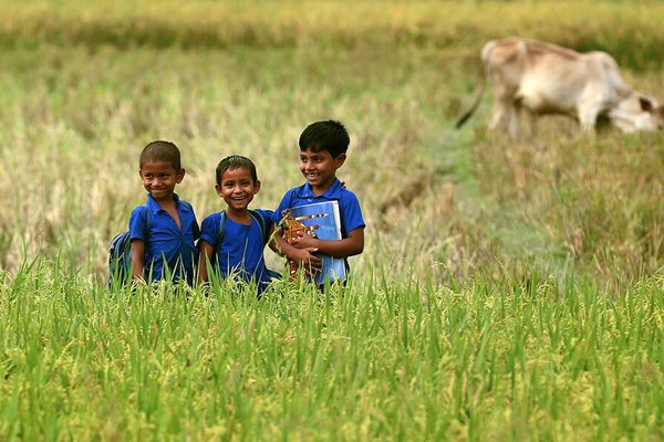 খোলা হাওয়ায় - Header Image