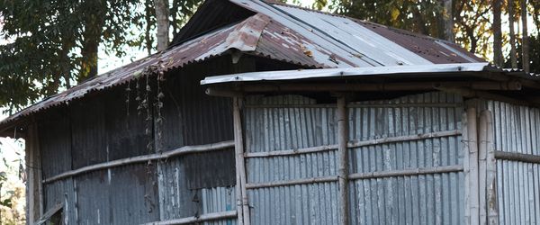 এই নিষ্ঠুরতার শেষ কোথায়? - Header Image