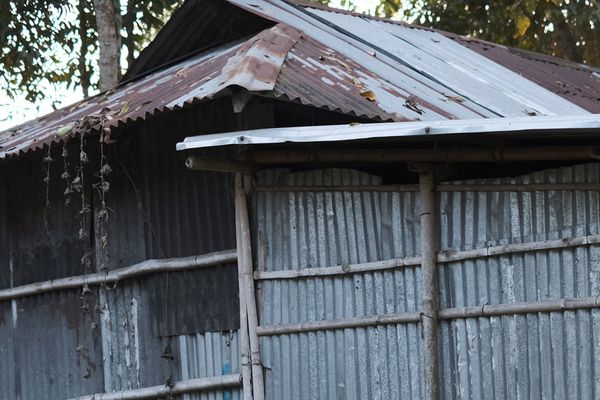 এই নিষ্ঠুরতার শেষ কোথায়? - Header Image