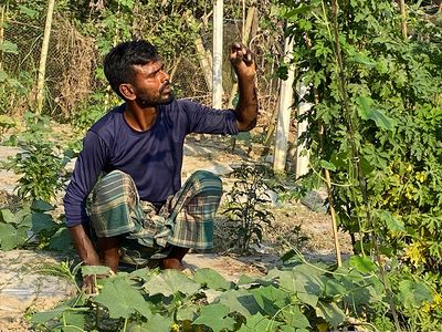 পতিত জমিতে চাষাবাদ : ভ্যানচালক থেকে সবজিচাষি ওয়াদুদ ভাই - Header Image