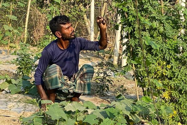 পতিত জমিতে চাষাবাদ : ভ্যানচালক থেকে সবজিচাষি ওয়াদুদ ভাই - Header Image