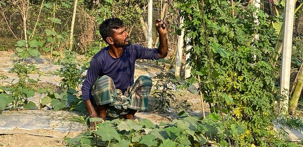 পতিত জমিতে চাষাবাদ : ভ্যানচালক থেকে সবজিচাষি ওয়াদুদ ভাই - Header Image