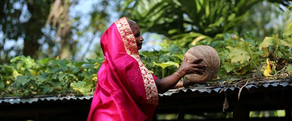 A green step out of poverty - Header Image