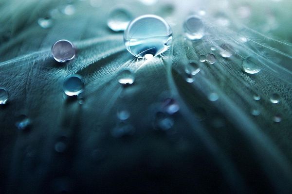 When nature gives you resources, store it - Header Image