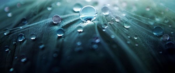 When nature gives you resources, store it - Header Image