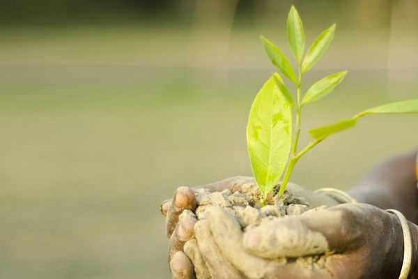 মহামারির দিনেপরিবেশ দিবস - Header Image