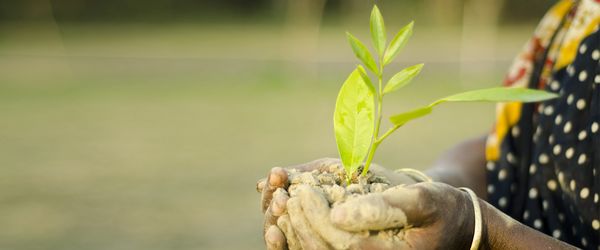 মহামারির দিনেপরিবেশ দিবস - Header Image