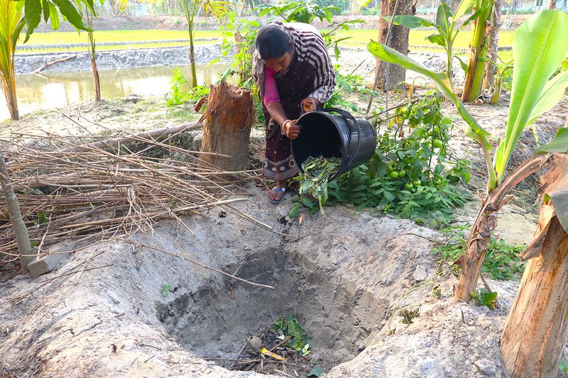 বাড়িতে উৎপাদিত জৈব বর্জ্য মাটির গর্তে ফেলা হচ্ছে, যা থেকে জৈব সার উৎপাদিত হবে।