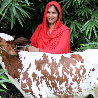 Putting farmers first: Introducing seasonal loans from BRAC Microfinance - Header Image