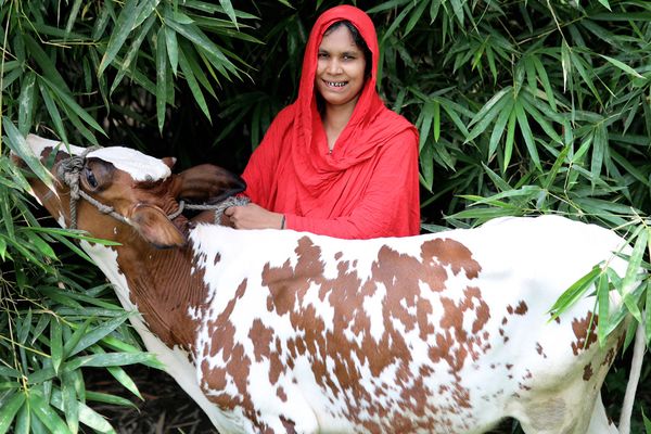 Putting farmers first: Introducing seasonal loans from BRAC Microfinance - Header Image
